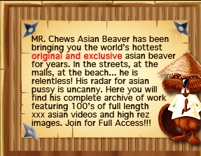 Original and Exclusive Asian Beaver